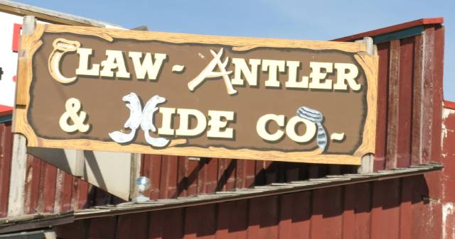 The Claw, Antler, and Hide Company in Custer