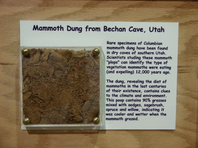 Mammoth poop