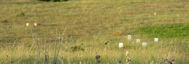 Keogh Sector at Little Bighorn Battlefield