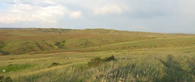 Keogh Sector at Little Bighorn Battlefield