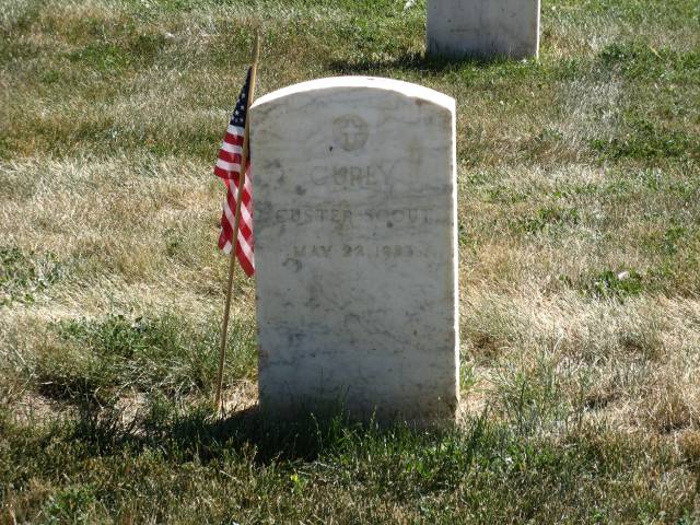 Curly in Custer National Cemetery